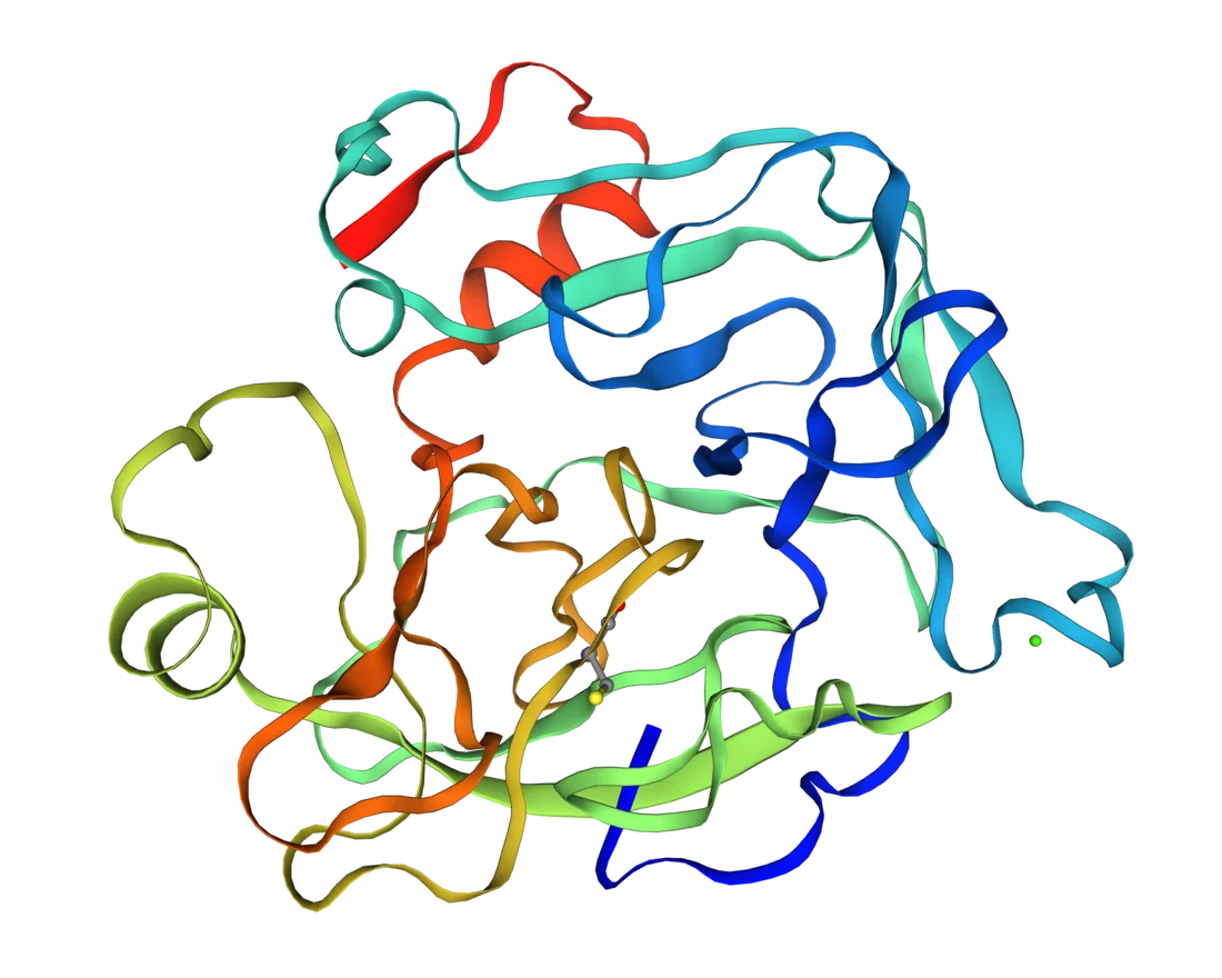 Estrutura tridimensional de uma proteína